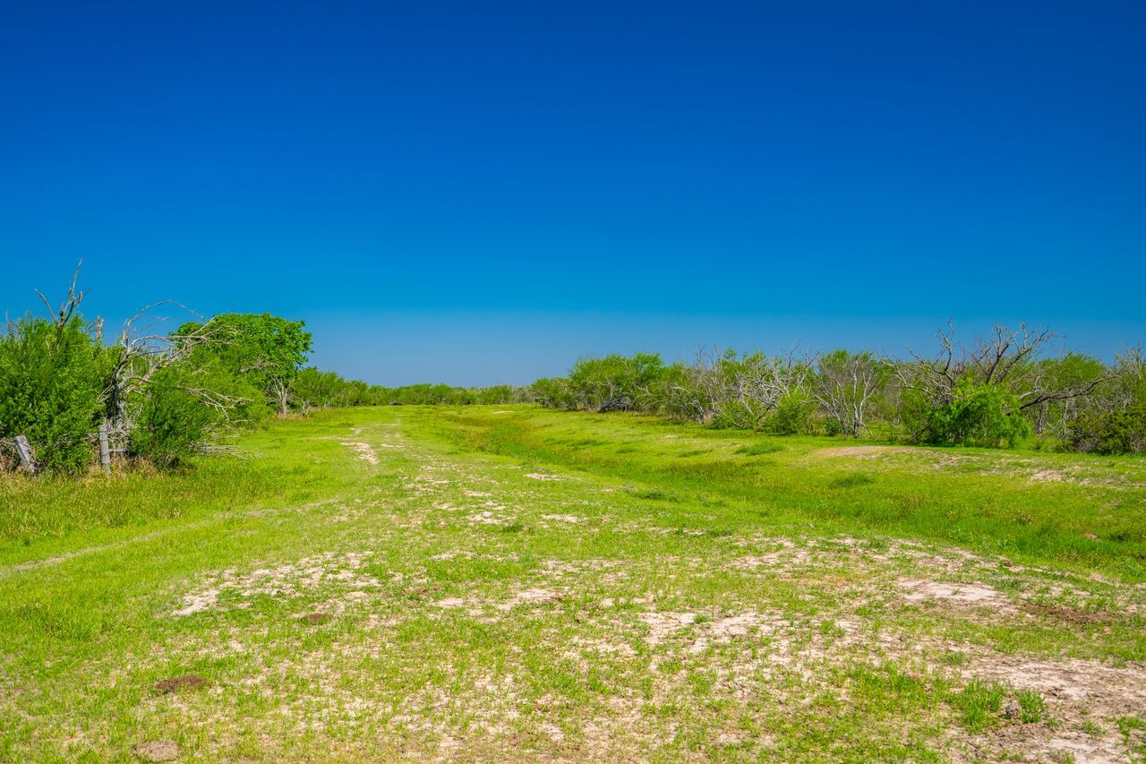 6-646-Zac-Lentz-VTX 6-646-Zac-Lentz-VTX