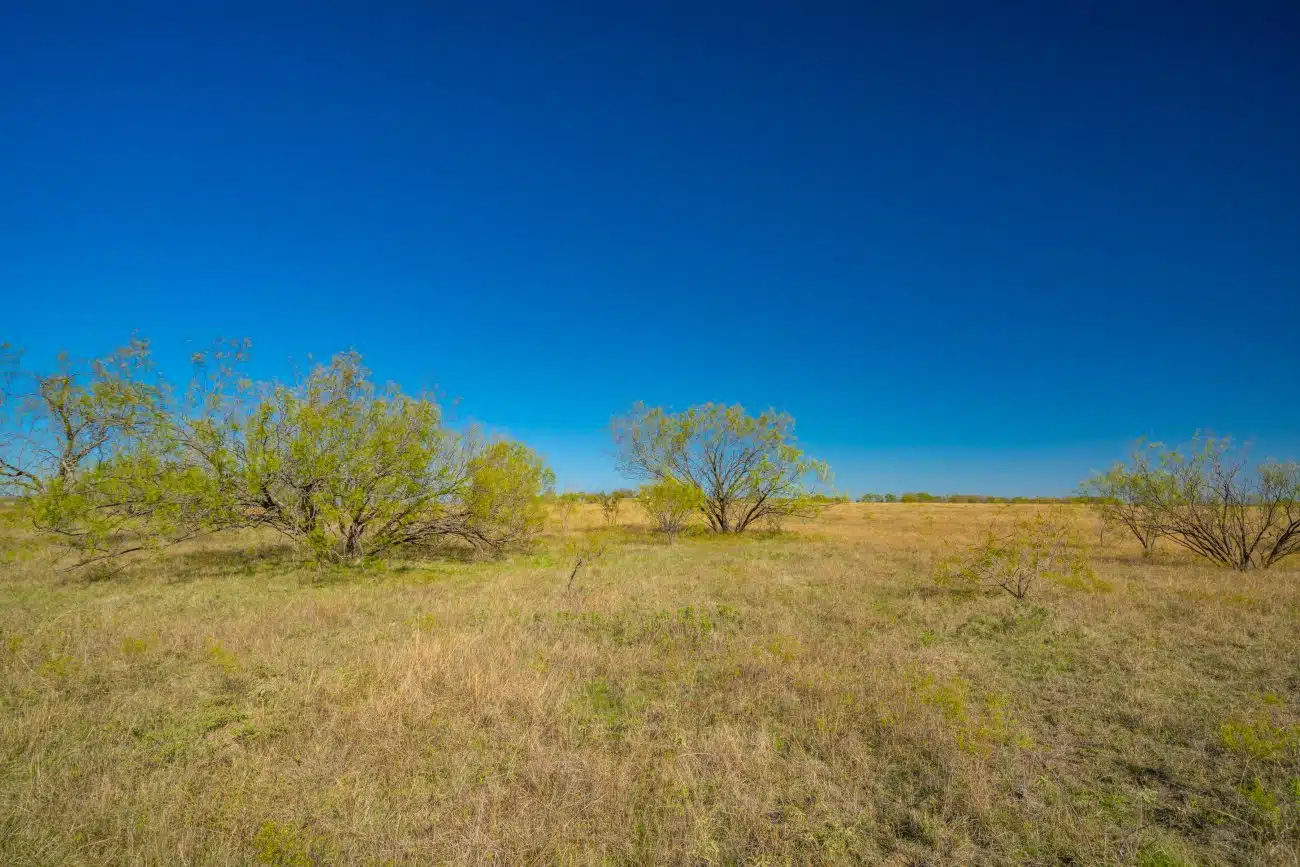 Milam Ranch 8 Milam Ranch 8