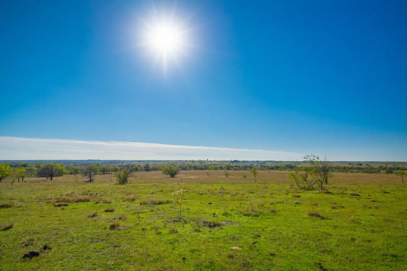 Milam Ranch 9 Milam Ranch 9