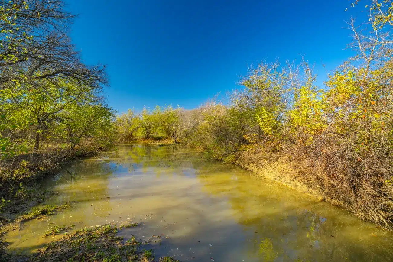 Milam Ranch 7 Milam Ranch 7